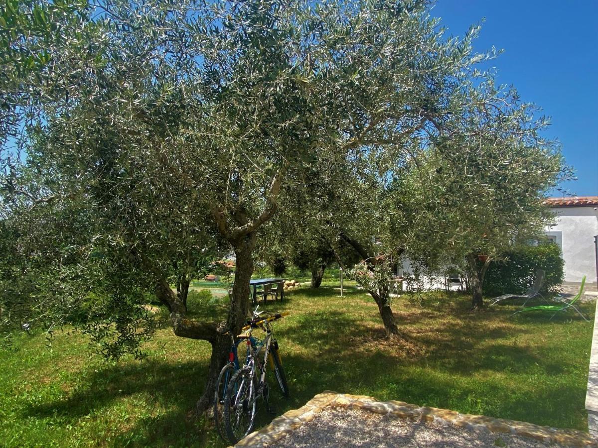 Residence Villa Fiore Порторож Екстер'єр фото
