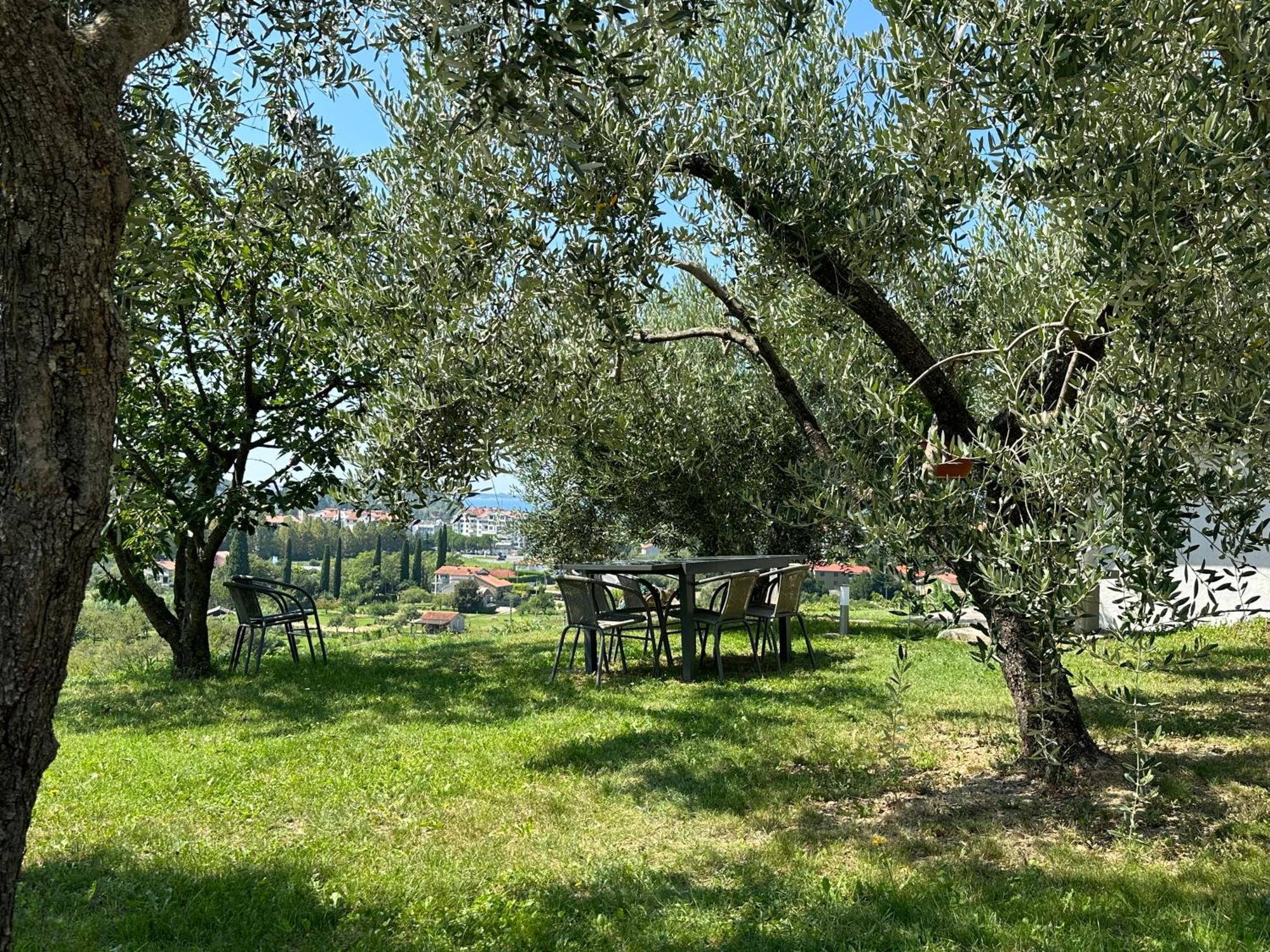 Residence Villa Fiore Порторож Екстер'єр фото